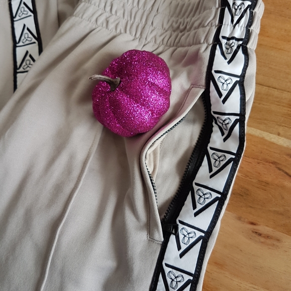 Aritiza • TNA Pull on Track pants • Sz M - Picture 8 of 16